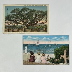Vtg 1936 Postcards Corpus Christi Texas Giant Oak Goose Island Franklin 1c Stamp
